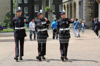 WELSH FUSILIERS
