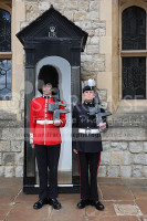 WELSH FUSILIERS