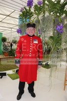 Chelsea Flower Show 2017