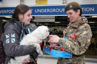 LONDON POPPY DAY  7728