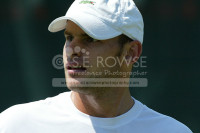 Andy Roddick  USA