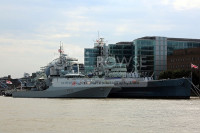 HMS TAMAR