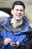 David Miliband MP