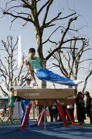 Pommel Horse