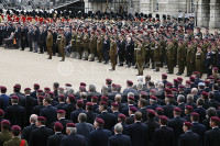 On Horseguards Falklands 25